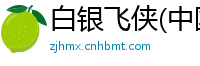 白银飞侠(中国)资讯有限公司